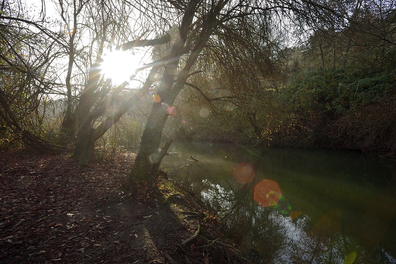 Río Manzanares a su paso por el área recreativa de El Pardo, junto al distrito de Fuencarral-El Pardo